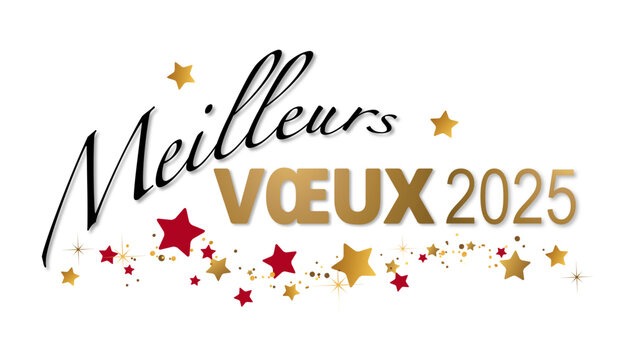 Navettes & Voyages vous souhaite une excellente année 2025 !